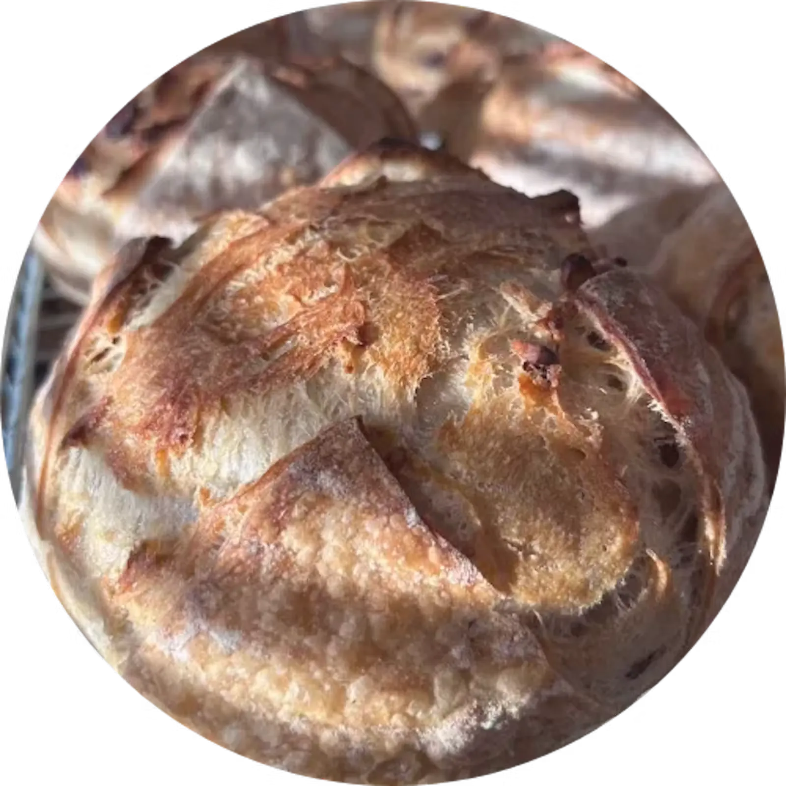 Juulian Kotileipomon cashew-karpaloleipä, hapanjuurileipä pähkinöillä ja kuivatuilla karpaloilla