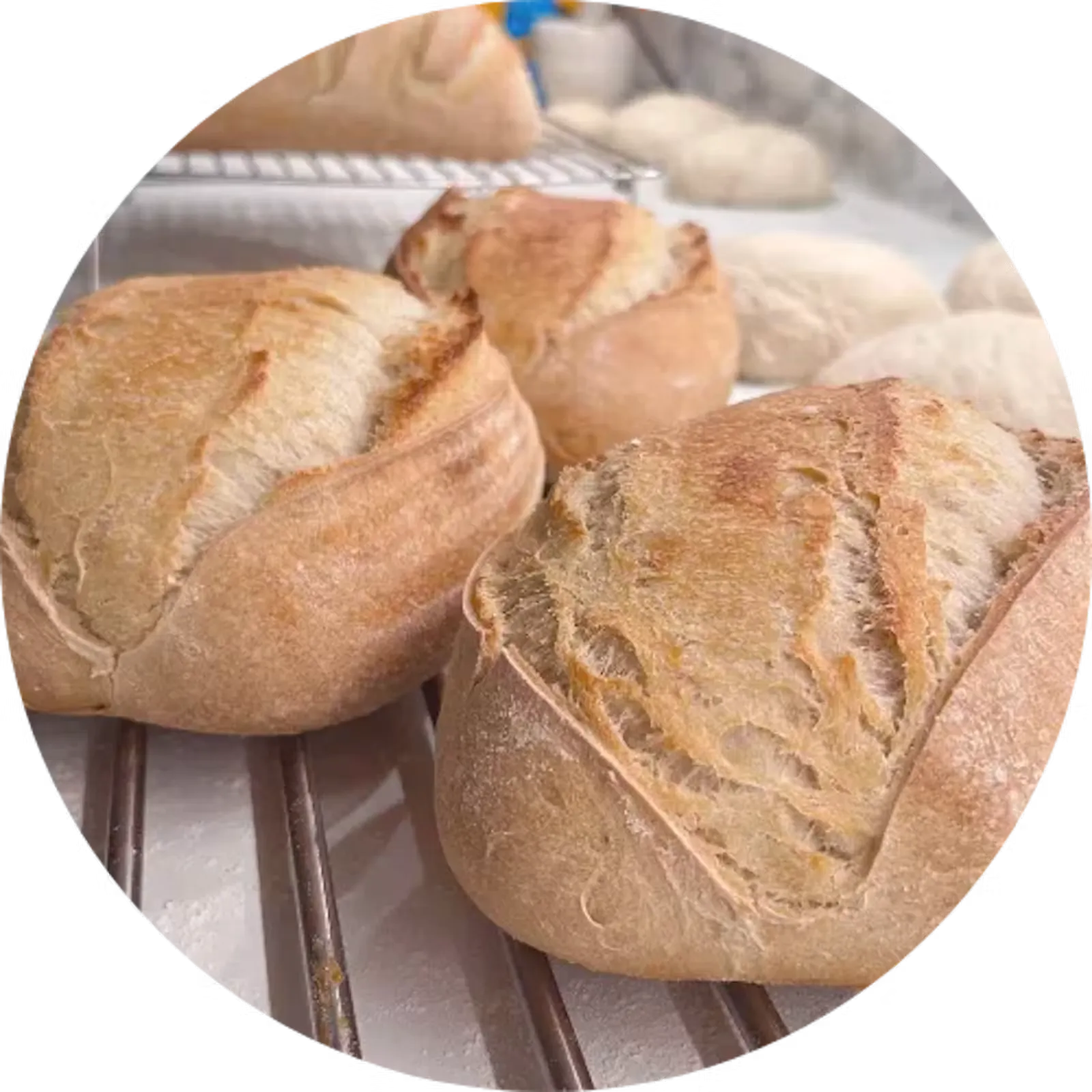 Juulian Kotileipomon kreikkalainen hapanjuurileipä oliiviöljyllä, jäähtymässä leipomon ritilällä